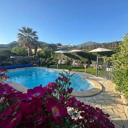 La Villa Des Oliviers Sorède Екстериор снимка